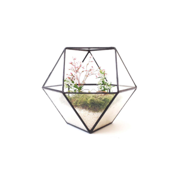 Rundes, klares, geometrisches, quadratisches Hängeterrarium aus Glas